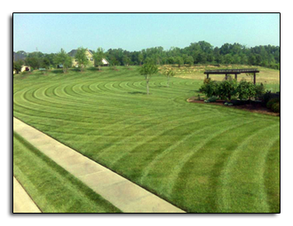 Commericial Mowing and Lawn Treatement